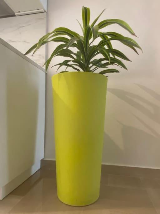 Caesar Apartment Bari Zewnętrze zdjęcie